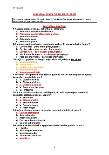 2002 Nisan Drtus - roblox quiz cevaplarÄ±
