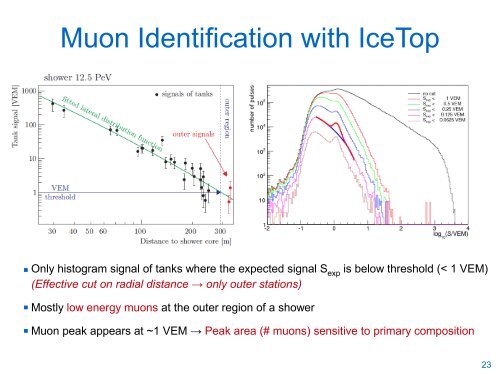 Cosmic Ray Detection with IceTop / IceCube - Villa Olmo