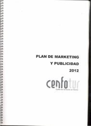 PLAN DE MARKETING Y PUBLICIDAD - Cenfotur