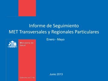 Informe Metas Transversales y Regionales particulares