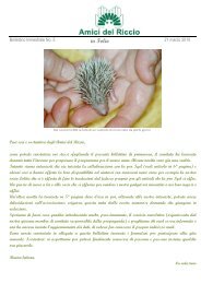 in Folio - Associazione Amici del Riccio