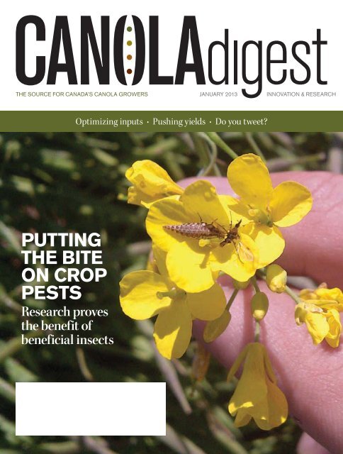 Canola Digest, January 2013 - SaskCanola