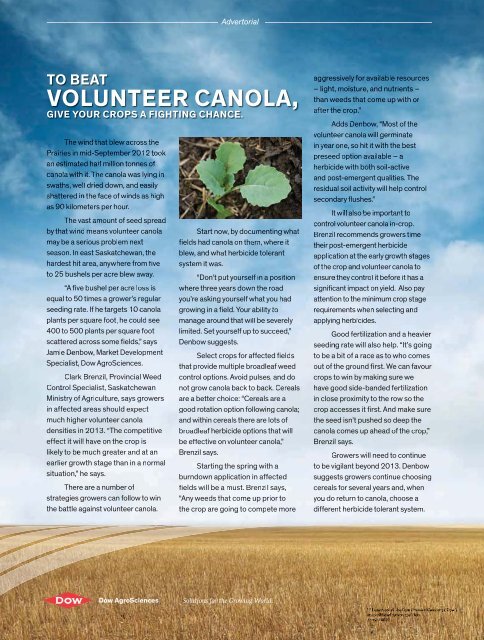 Canola Digest, January 2013 - SaskCanola