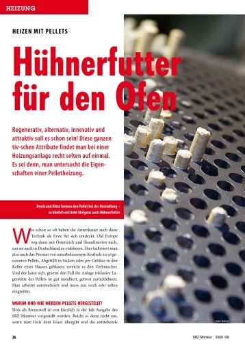 Heizen mit Pellets Regenerativ, alternativ, innovativ und attraktiv soll ...