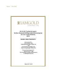 NI 43-101 Technical report, Surface diamond drilling ... - Iamgold