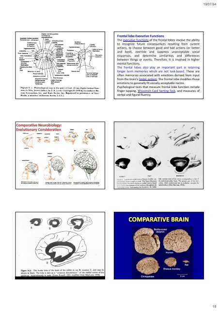 The Frontal lobes - Mahidol University