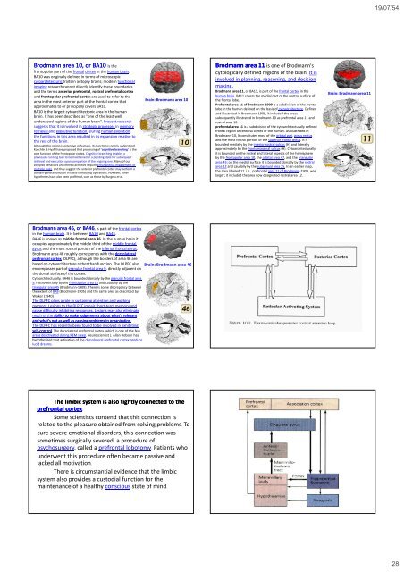 The Frontal lobes - Mahidol University