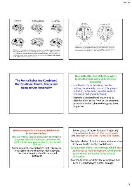 The Frontal lobes - Mahidol University