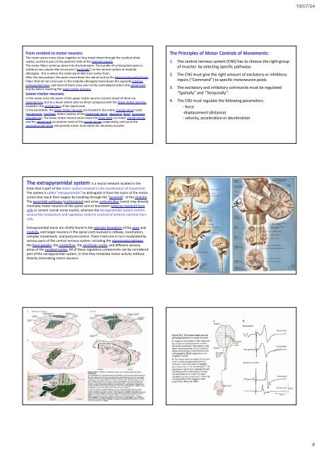 The Frontal lobes - Mahidol University