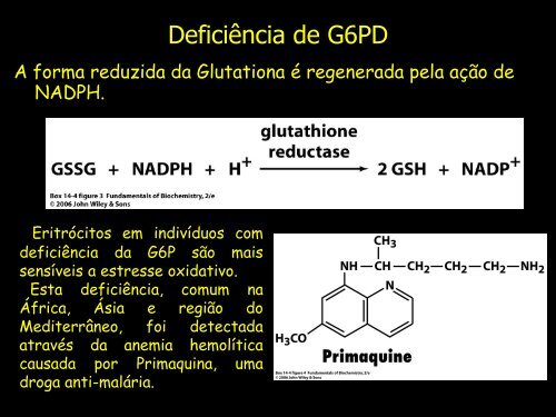 Ciclo das Pentoses