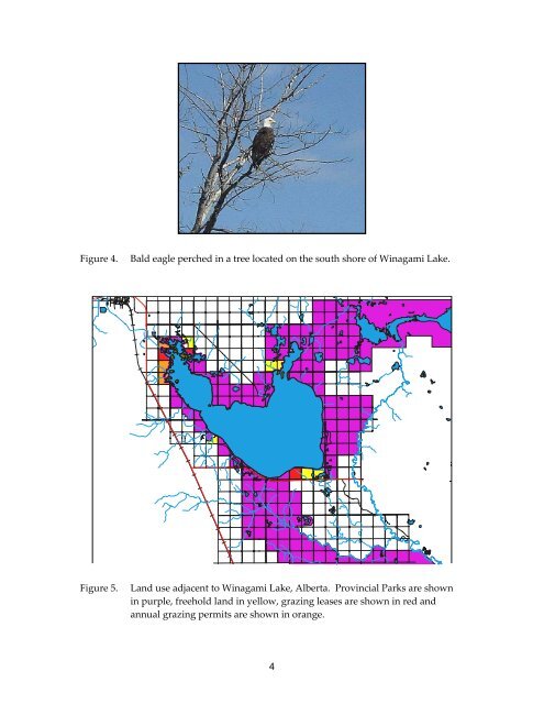 Download PDF - Alberta Conservation Association