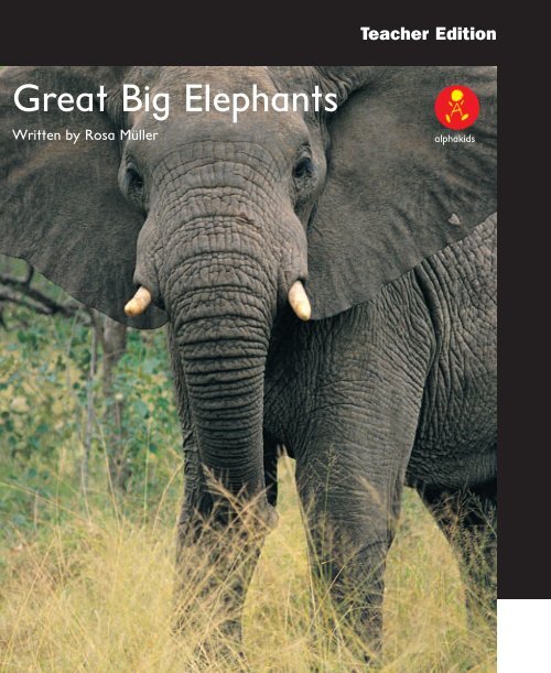 Great Big Elephants