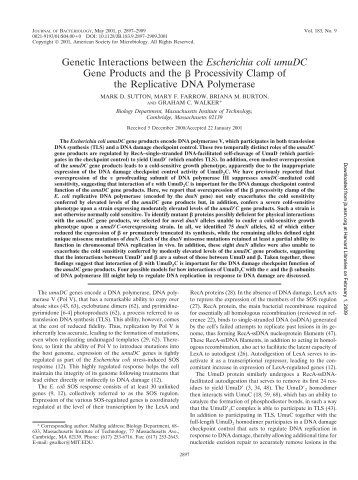 Genetic Interactions between the Escherichia coli umuDC Gene ...