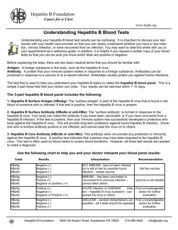 Understanding Hepatitis B Blood Tests Hepatitis B Foundation