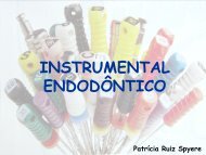 Instrumental endodÃ´ntico - PatrÃ­cia Ruiz Spyere