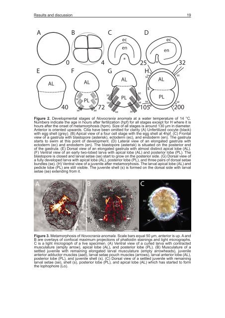 PhD thesis