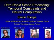 Ultra-Rapid Scene Processing - Stanford Vision Lab