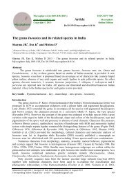 The genus Inonotus and its related species in India Article