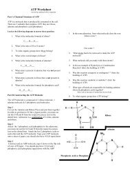 Dying To Be Thin Video Worksheet Overview