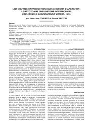 Bigot Sciences Et Géologie Normandes - 