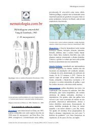 Meloidogyne enterolobii