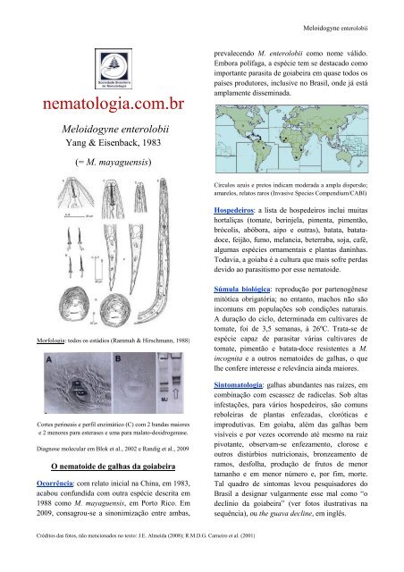 Meloidogyne enterolobii