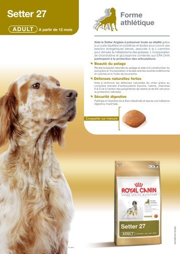 Setter 27 - Breed Nutrition - Royal Canin