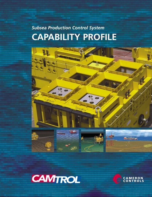 CAPABILITY PROFILE - cedip