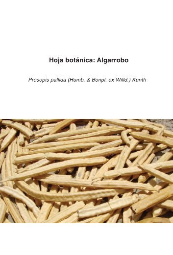 Hoja botánica: Algarrobo - Perúbiodiverso