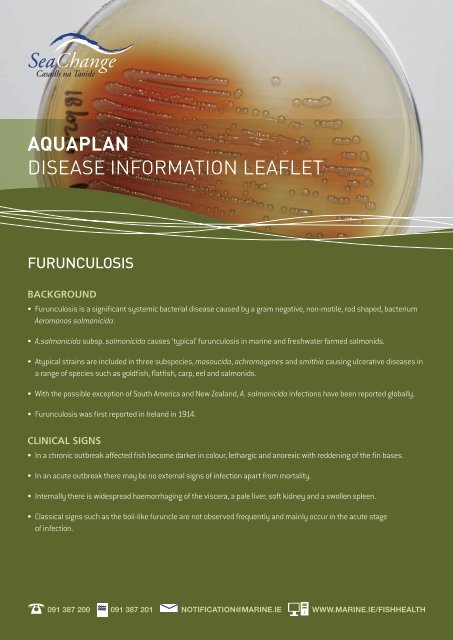 Download disease information leaflet on furunculosis - Marine Institute
