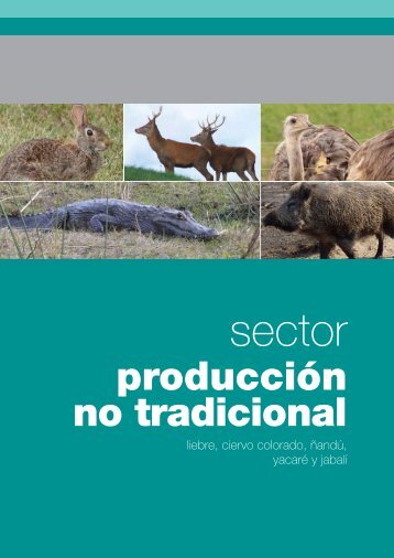 producción no tradicional