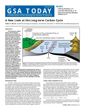 A New Look at the Long-term Carbon Cycle - Geological Society of ...