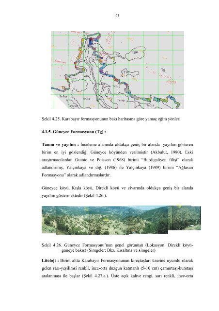 ve Ã§evresi Ã¶rneÄi