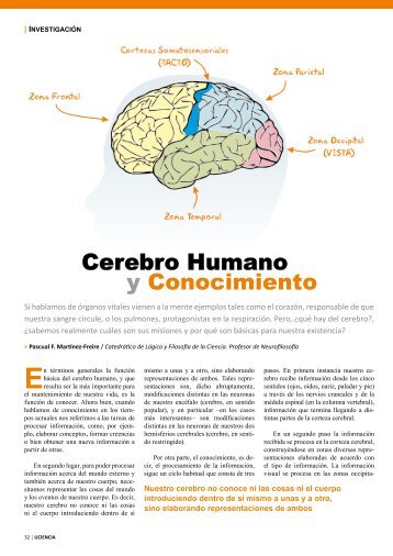 Cerebro Humano y Conocimiento