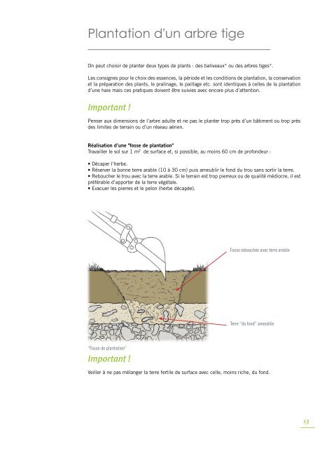 Guide dÃ©partemental des plantations en Vienne - Conseil GÃ©nÃ©ral ...