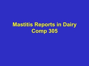 Mastitis Reports in Dairy Comp 305