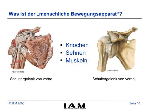 Zur Mechanik des menschlichen Bewegungsapparates - Institut fÃ¼r ...