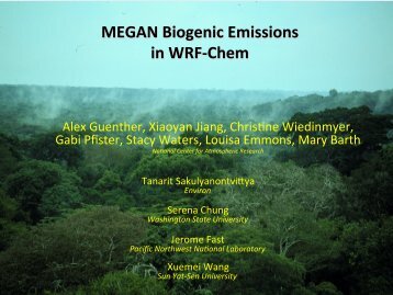 Biogenic and Fire emissions with WRF-Chem - RUC