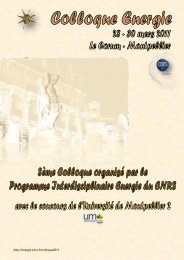 Colloque 2011 - La brochure - Programme Interdisciplinaire Energie ...