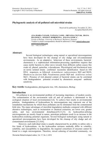 Phylogenetic analysis of oil polluted soil microbial strains - Rombio.eu