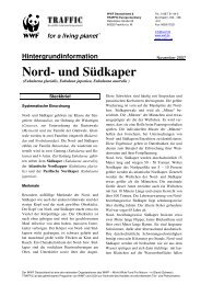 Nord- und Südkaper