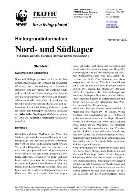 Nord- und Südkaper