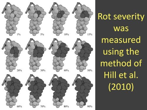 Presentation: The effects of defoliation timing and a comparison of ...