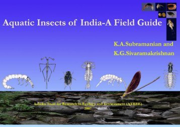 acquatic insects_2.pmd - CES (IISc) - Indian Institute of Science