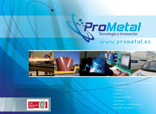 Estructura Productiva de Prometal - Metalia