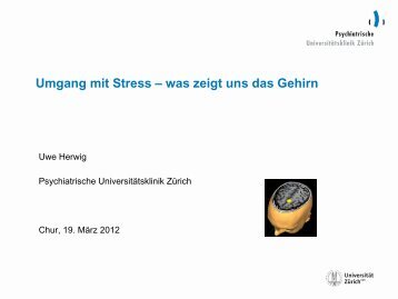 Umgang mit Stress – was zeigt uns das Gehirn