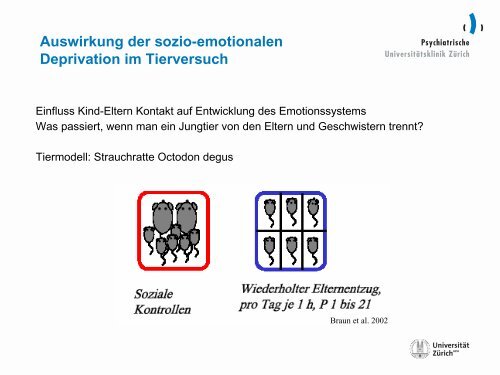 Umgang mit Stress – was zeigt uns das Gehirn