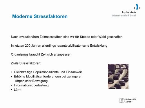 Umgang mit Stress – was zeigt uns das Gehirn