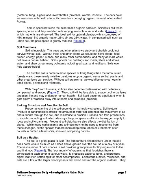 Investigations in Urban Soils - Baltimore Ecosystem Study