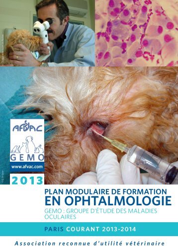 PlAn modulAIRe de foRmAtIon en oPhtAlmologIe - AFVAC